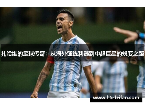 扎哈维的足球传奇：从海外锋线利器到中超巨星的蜕变之路