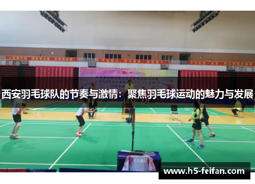 西安羽毛球队的节奏与激情：聚焦羽毛球运动的魅力与发展