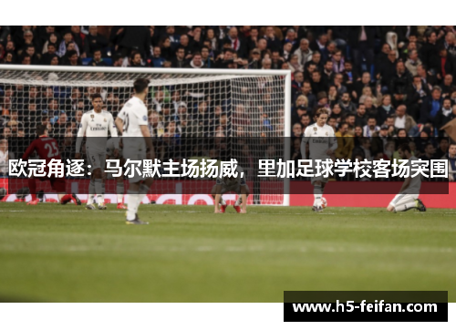 欧冠角逐:马尔默主场扬威,里加足球学校客场突围 欧冠角逐:马尔默主场扬威,里加足球学校客场突围