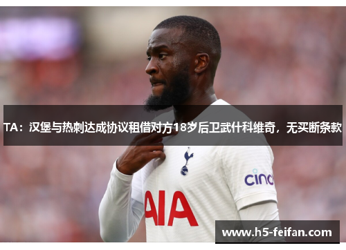 TA:汉堡与热刺达成协议租借对方18岁后卫武什科维奇,无买断条款 TA:汉堡与热刺达成协议租借对方18岁后卫武什科维奇,无买断条款