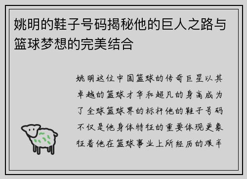 姚明的鞋子号码揭秘他的巨人之路与篮球梦想的完美结合